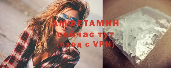 прущие грибы Новокубанск