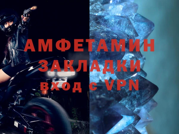 прущие грибы Новокубанск