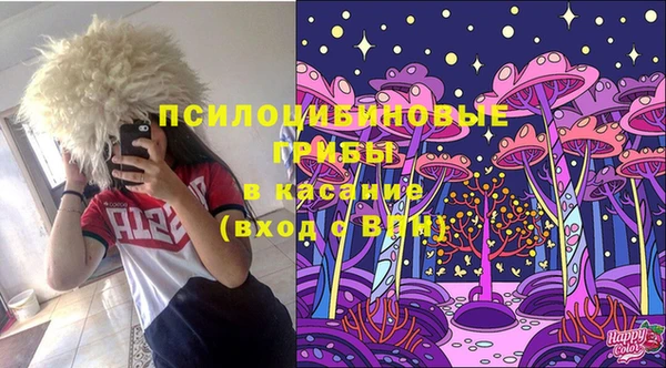 MDMA Новозыбков