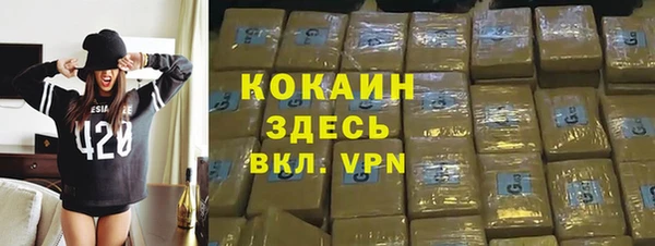 прущие грибы Новокубанск